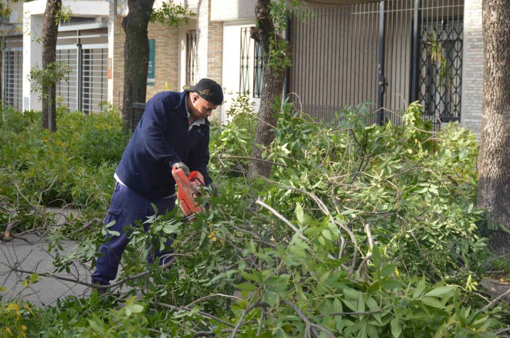 El mantenimiento de los espacios públicos, prioridad para el Gobierno Municipal