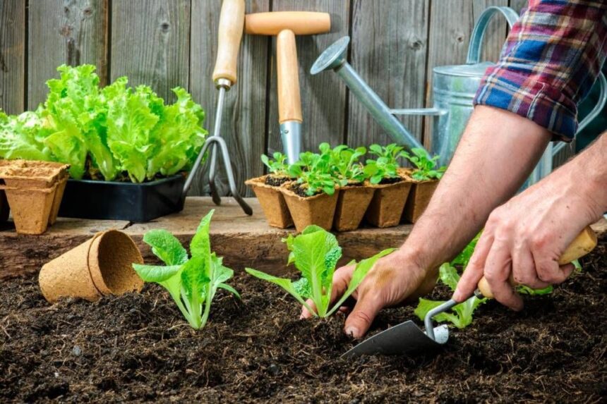 Nueva fecha de “Huerta en Casa” en la Parroquia del San José Obrero