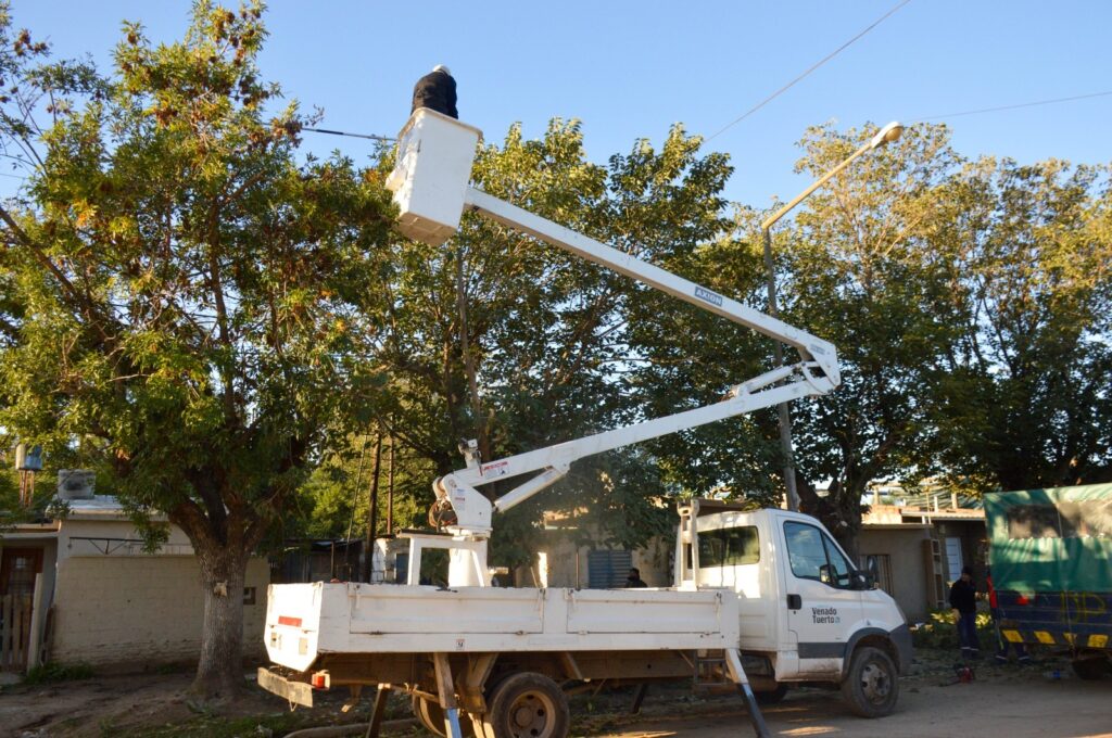 Intensa actividad municipal en el arbolado público y control de malezas