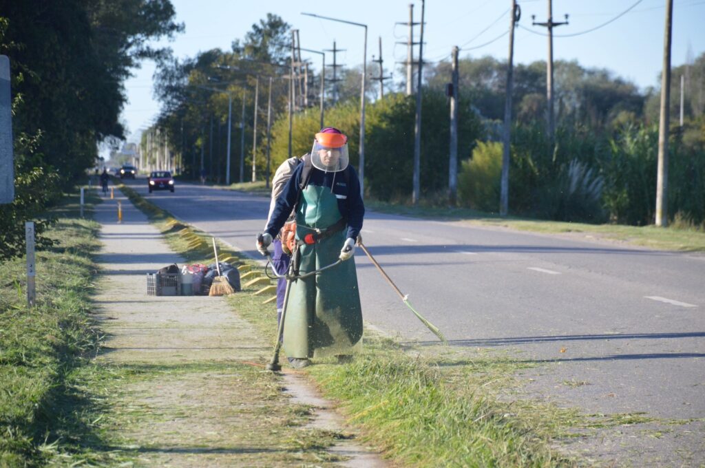 Intensa labor municipal de corte de pasto y limpieza en canteros centrales