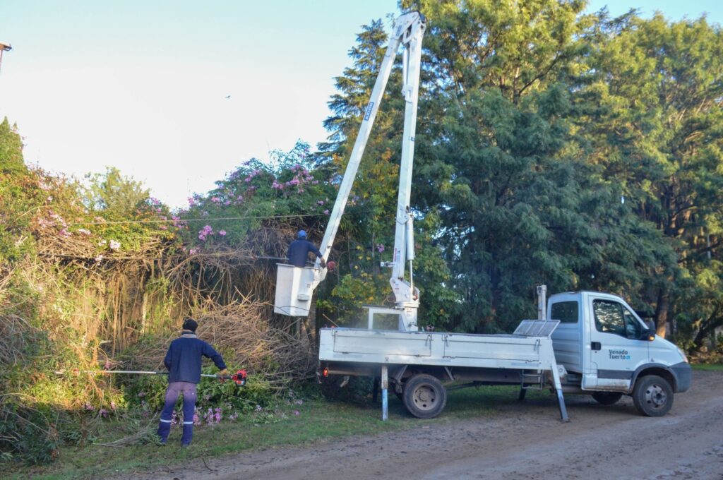 El Gobierno Municipal refuerza las tareas de poda, desmalezado y limpieza