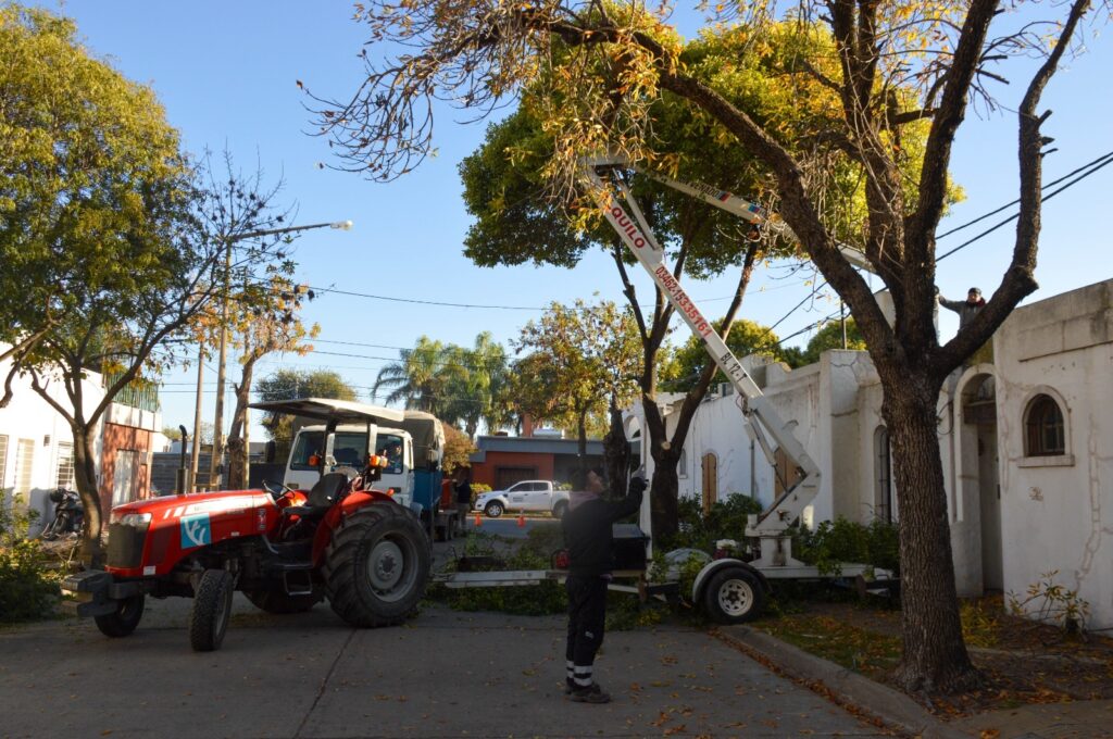 Las cuadrillas municipales efectúan trabajos de desmalezado y limpieza en plazas y espacios verdes de la ciudad