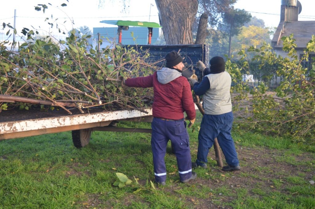Cuadrillas municipales avanzan con tareas de poda y desmalezado en barrios y plazas