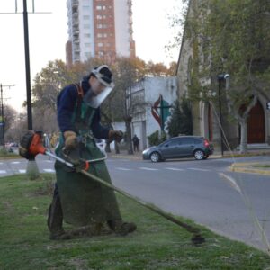 Las cuadrillas municipales concentran sus tareas en las principales plazas y paseos Las cuadrillas municipales concentran sus tareas en las principales plazas y paseos
