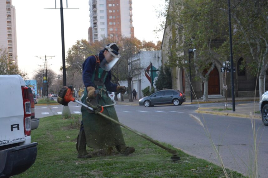 Las cuadrillas municipales concentran sus tareas en las principales plazas y paseos Las cuadrillas municipales concentran sus tareas en las principales plazas y paseos