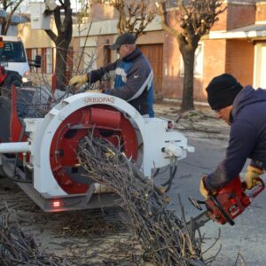 Mantenimiento, desmalezado, poda y limpieza en los barrios de la ciudad