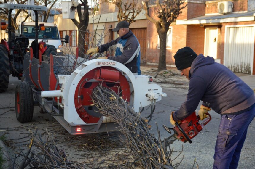 Mantenimiento, desmalezado, poda y limpieza en los barrios de la ciudad