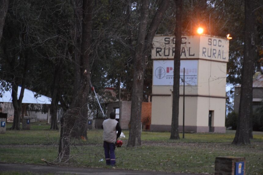 Trabajos de poda en el predio de Sociedad Rural