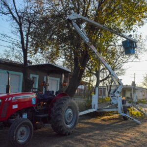 Los equipos municipales intensifican las tareas de mantenimiento del arbolado público Los equipos municipales intensifican las tareas de mantenimiento del arbolado público