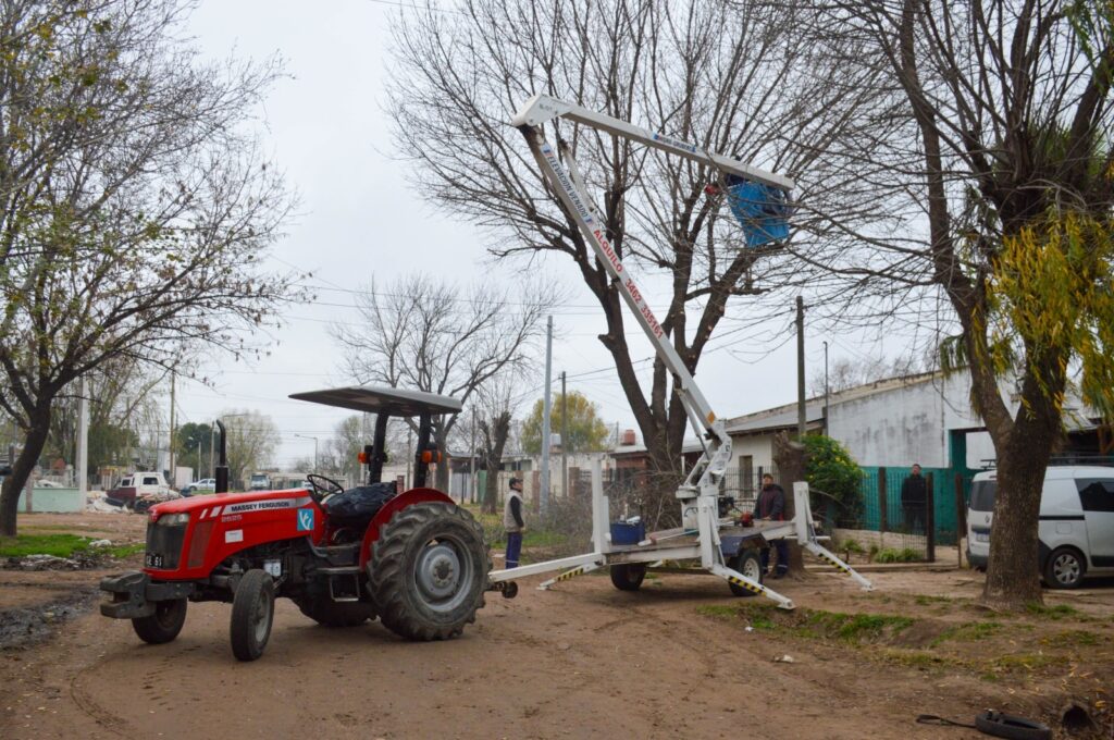 El Gobierno municipal intensifica los trabajos de poda y desmalezado