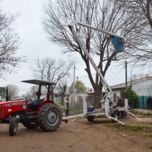 El Gobierno municipal intensifica los trabajos de poda y desmalezado El Gobierno municipal intensifica los trabajos de poda y desmalezado
