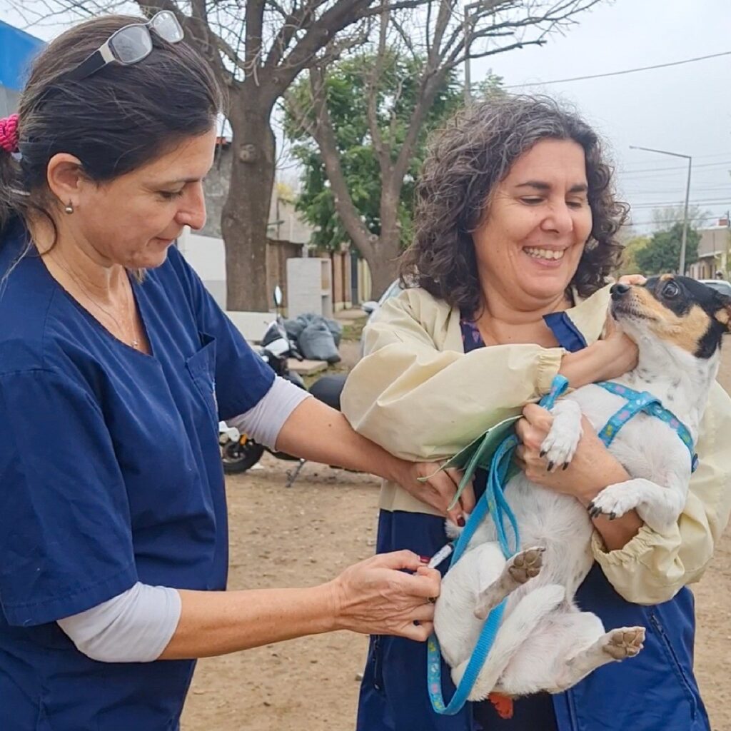 Desde el lunes 7: el Municipio prestará servicios de salud animal con el nuevo Quirófano Móvil