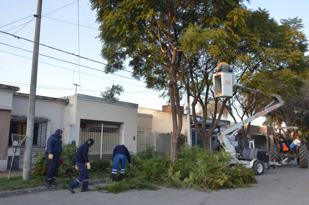 Mantenimiento de la ciudad: aumentan los trabajos de desmalezado, poda y limpieza