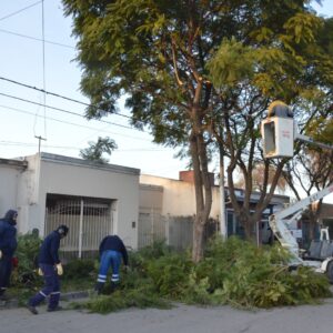 Mantenimiento de la ciudad: aumentan los trabajos de desmalezado, poda y limpieza Mantenimiento de la ciudad: aumentan los trabajos de desmalezado, poda y limpieza