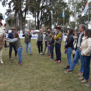 Exhibición de emprendados y carruajes en la pista central