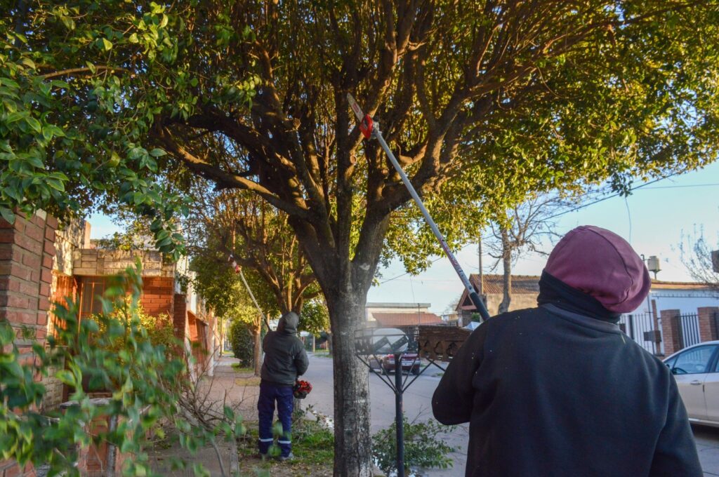 Espacios Públicos refuerza las tareas de poda y corte de pasto en distintos barrios