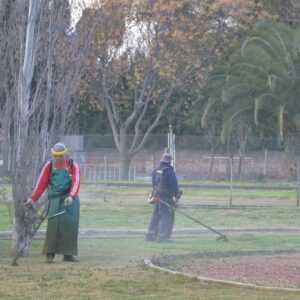 Personal municipal avanza con distintas tareas de mantenimiento en plazas y barrios Personal municipal avanza con distintas tareas de mantenimiento en plazas y barrios