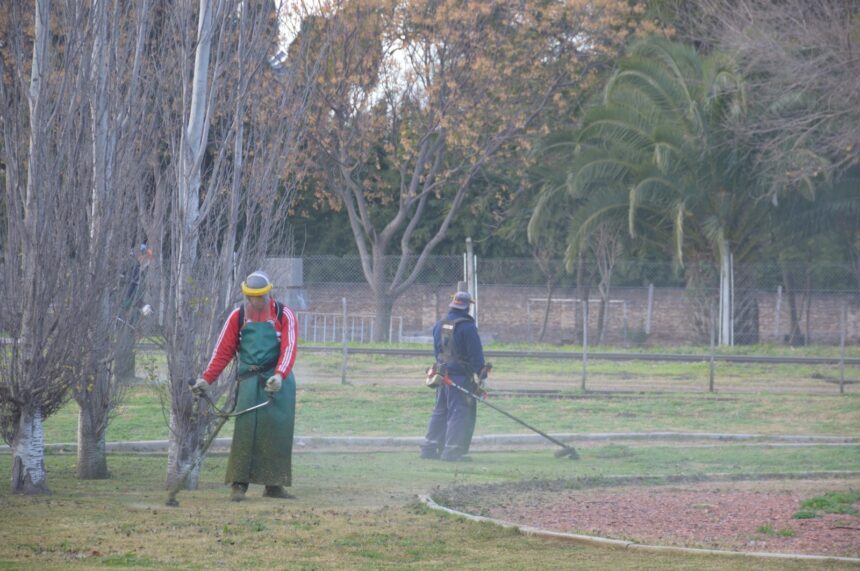 Personal municipal avanza con distintas tareas de mantenimiento en plazas y barrios