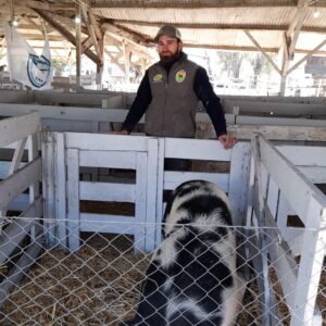 El Ateneo Juvenil tiene a su cargo la admisión de animales en el primer día de la Expo