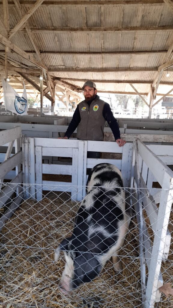 El Ateneo Juvenil tiene a su cargo la admisión de animales en el primer día de la Expo
