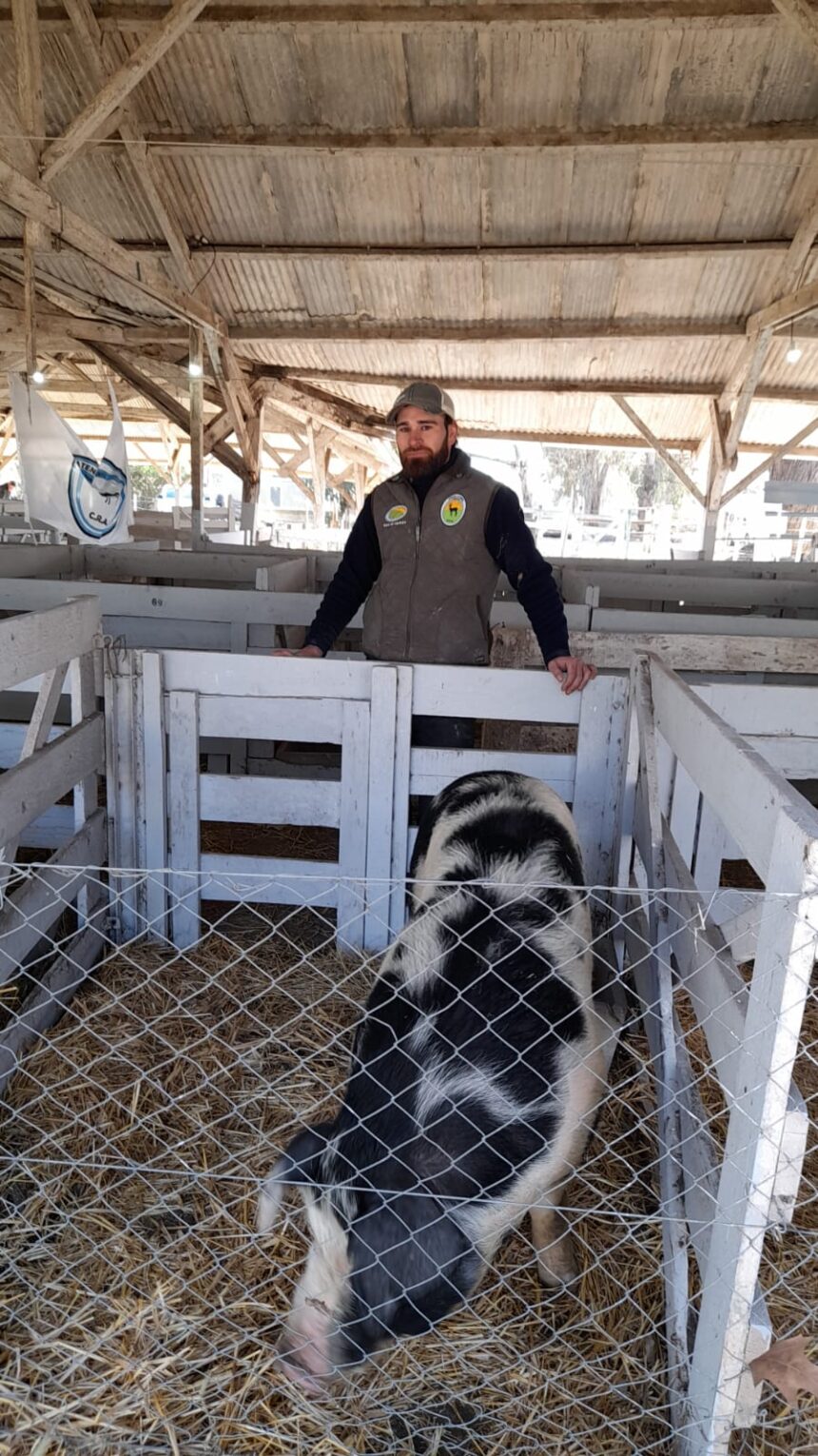 El Ateneo Juvenil tiene a su cargo la admisión de animales en el primer día de la Expo