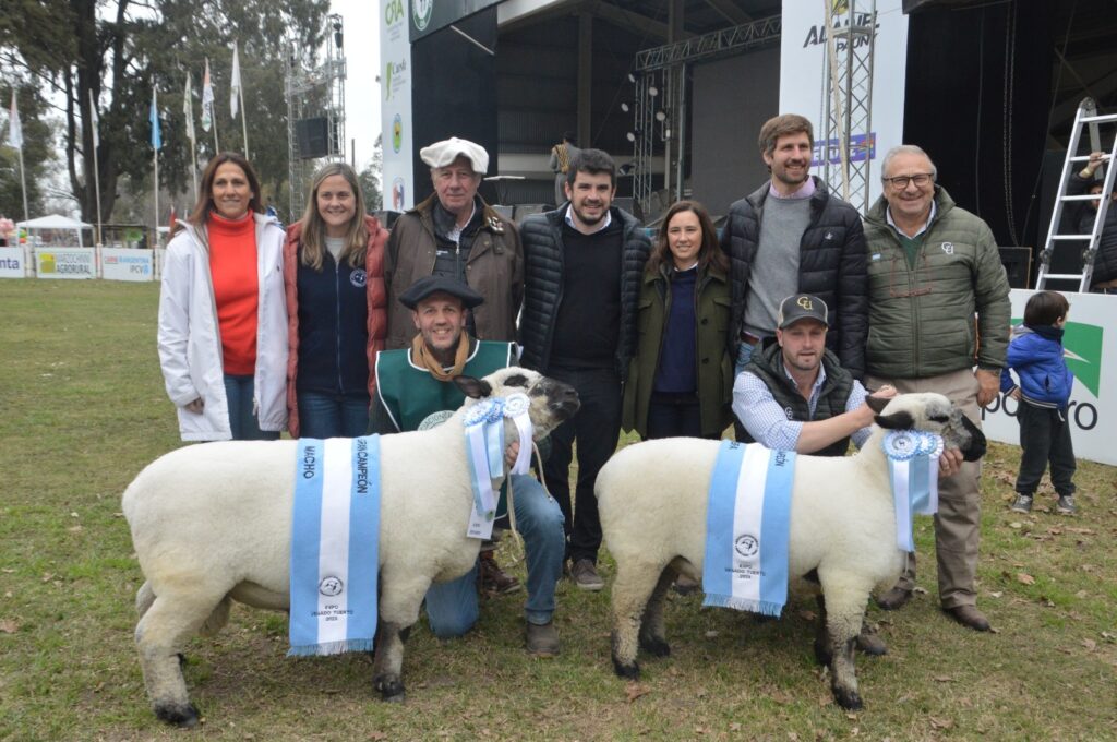 Jura de clasificación de ovinos en la pista central