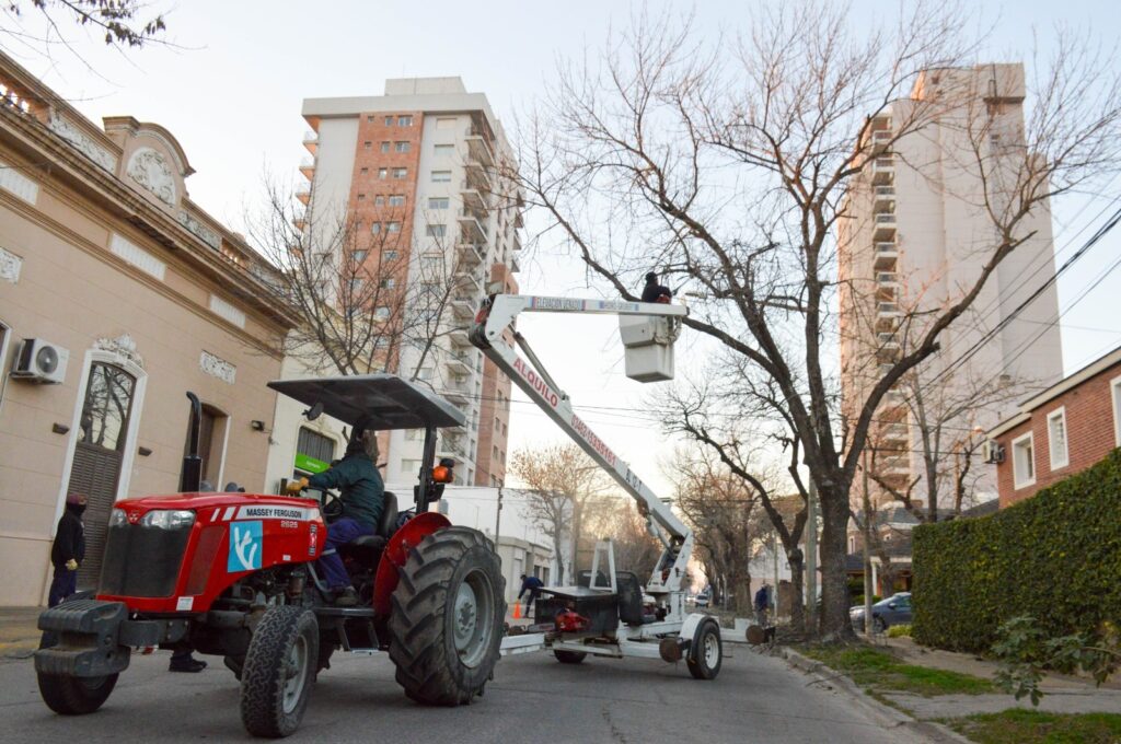 Las cuadrillas de poda y desmalezado apuntalan la higiene urbana