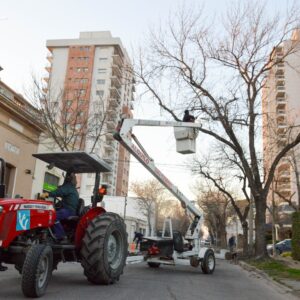 Las cuadrillas de poda y desmalezado apuntalan la higiene urbana Las cuadrillas de poda y desmalezado apuntalan la higiene urbana