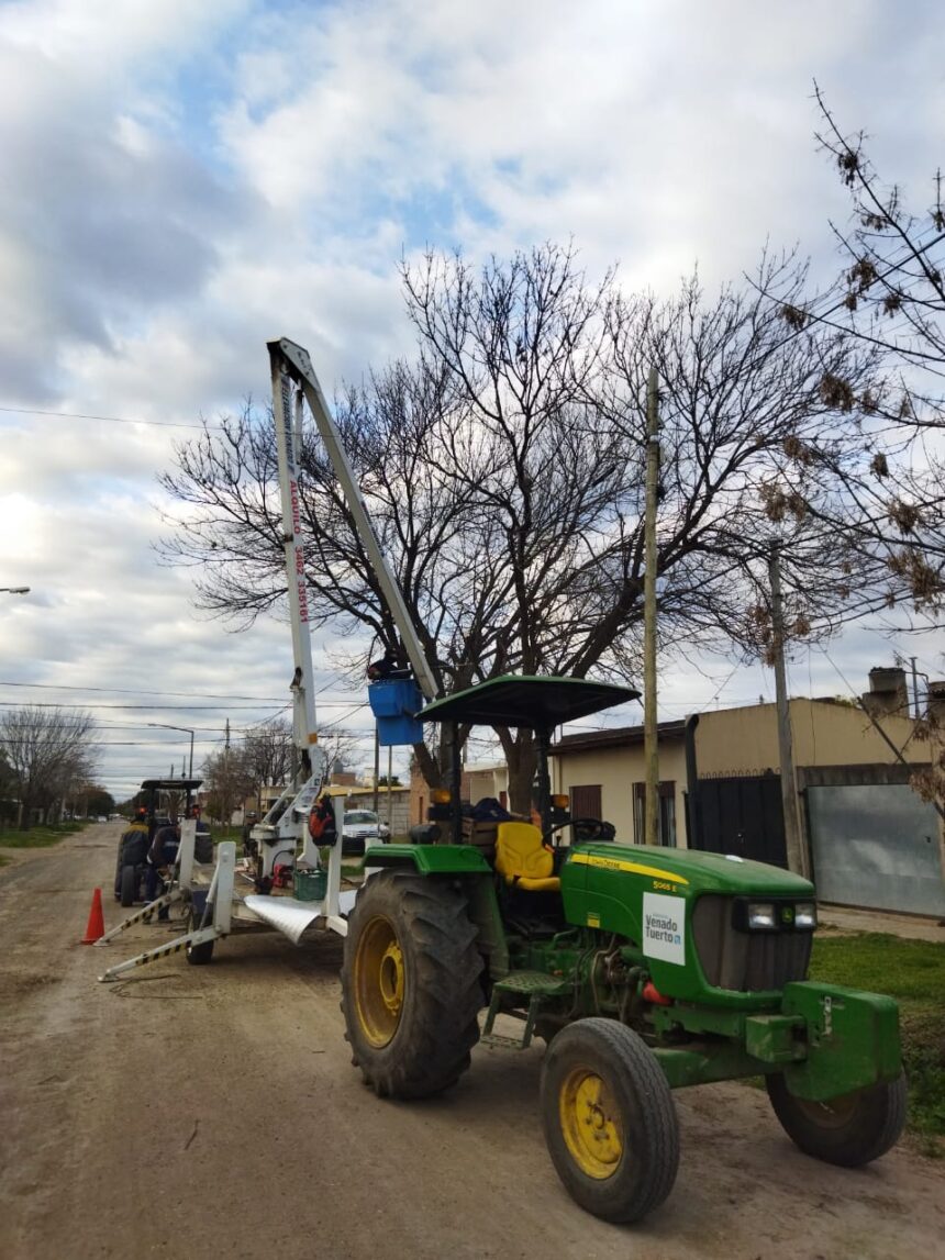 El Municipio avanza con tareas de poda en altura en distintos barrios