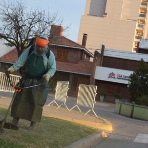 Sostenido trabajo de mantenimiento en espacios públicos y barrios de la ciudad Sostenido trabajo de mantenimiento en espacios públicos y barrios de la ciudad