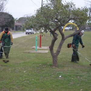 Refuerzan los trabajos de poda y desmalezado en distintas plazas e instituciones Refuerzan los trabajos de poda y desmalezado en distintas plazas e instituciones