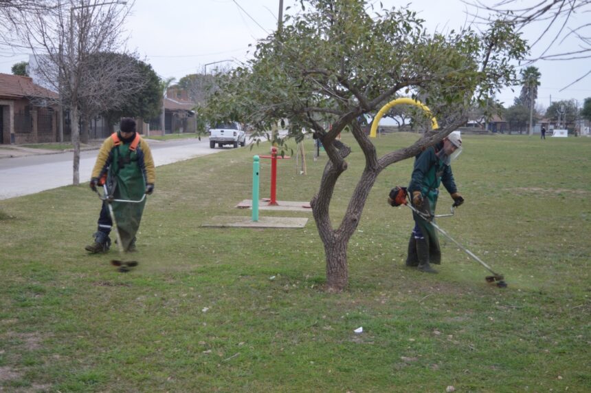Refuerzan los trabajos de poda y desmalezado en distintas plazas e instituciones Refuerzan los trabajos de poda y desmalezado en distintas plazas e instituciones