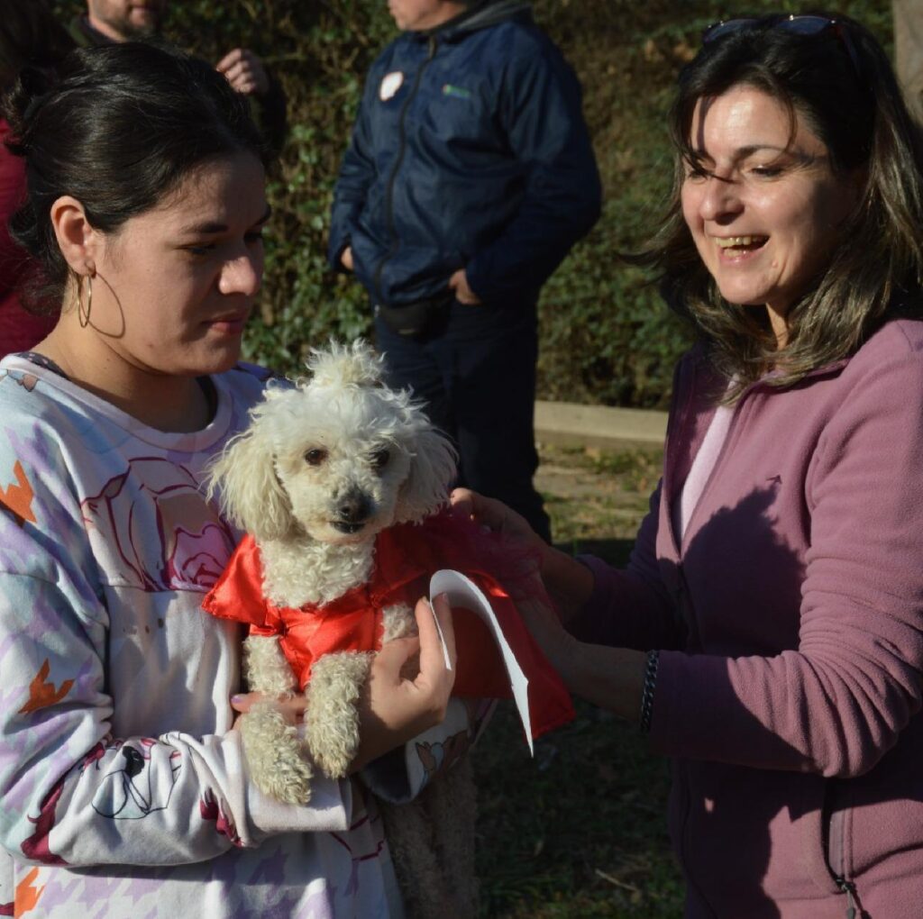 Triple jornada de castración y vacunación antirrábica en barrio Iturbide