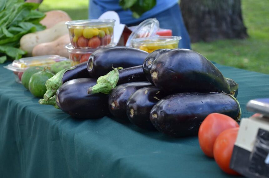 Nueva presentación de “Huerteros en tu Barrio” en plaza Fleming