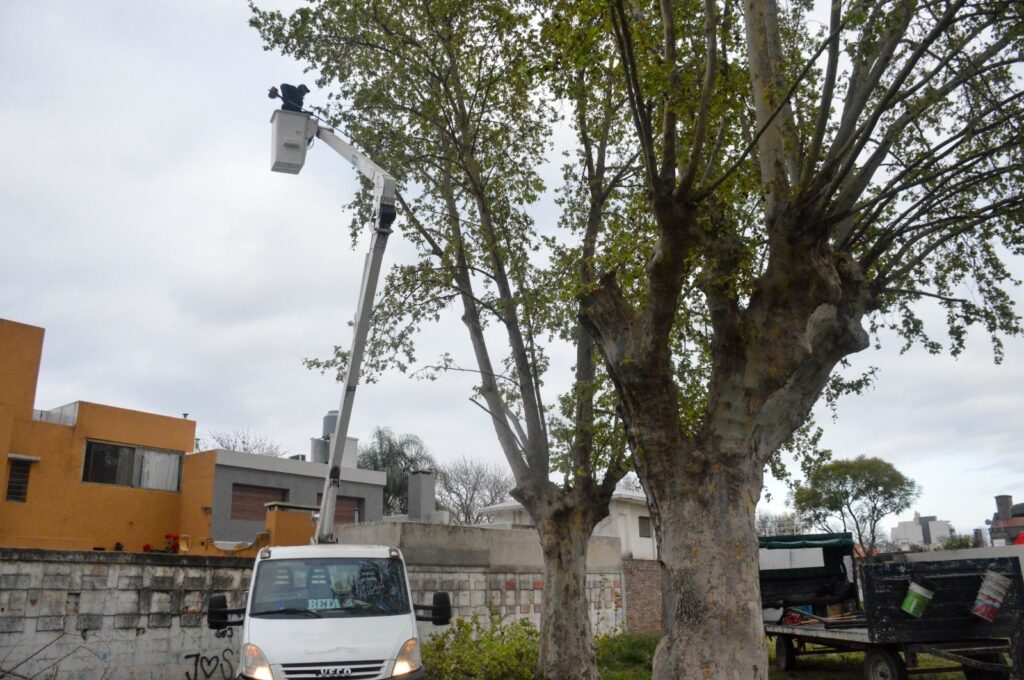 El Gobierno Municipal refuerza su trabajo en los espacios públicos de la ciudad