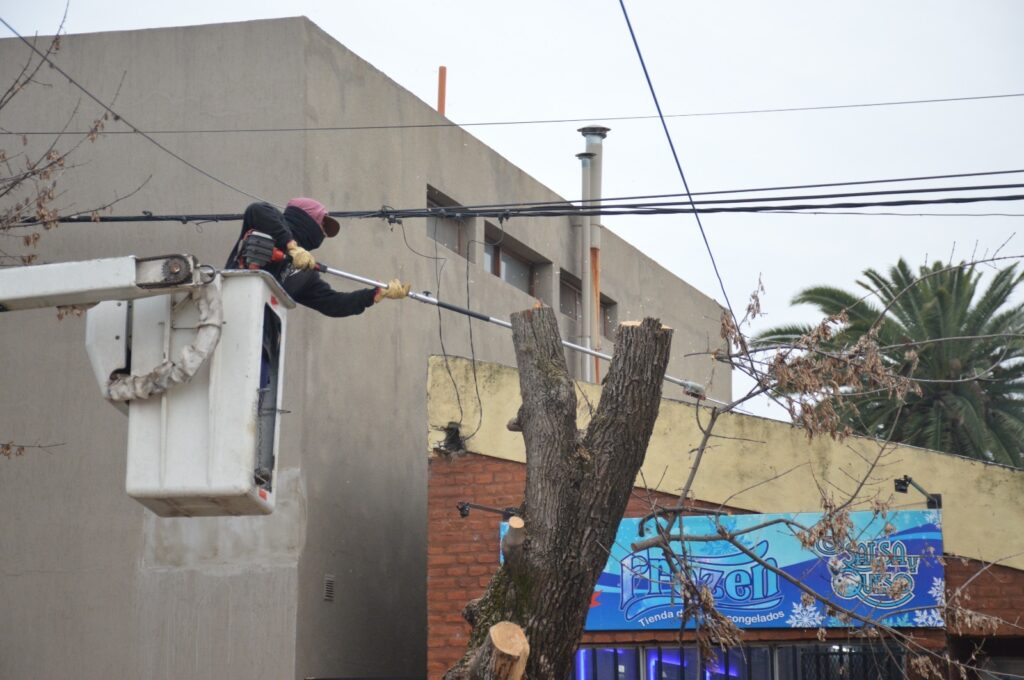 El Gobierno Municipal inicia la semana con poda, desmalezado y limpieza de áreas verdes