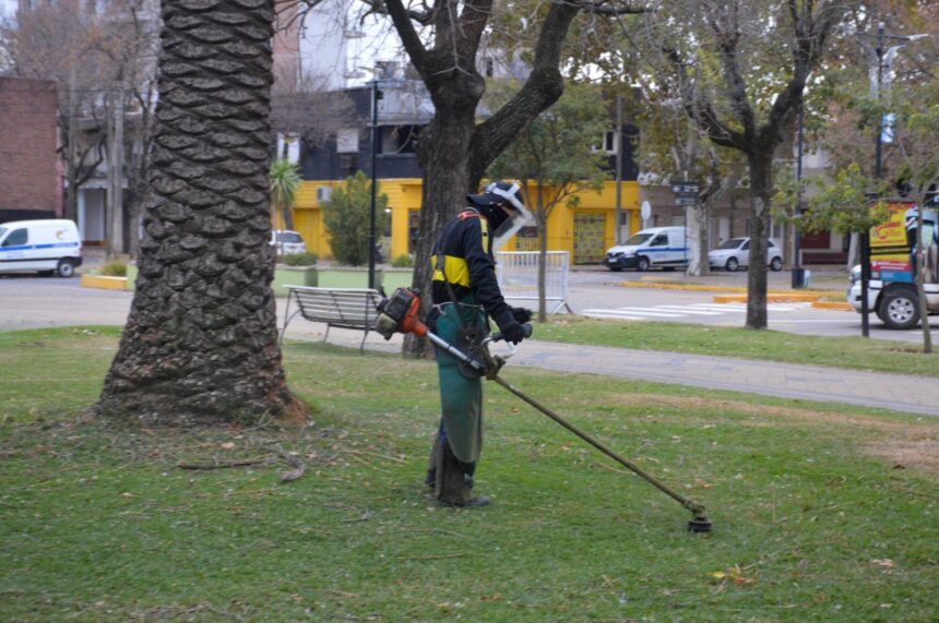 El Gobierno municipal refuerza las tareas de desmalezado en distintos barrios El Gobierno municipal refuerza las tareas de desmalezado en distintos barrios