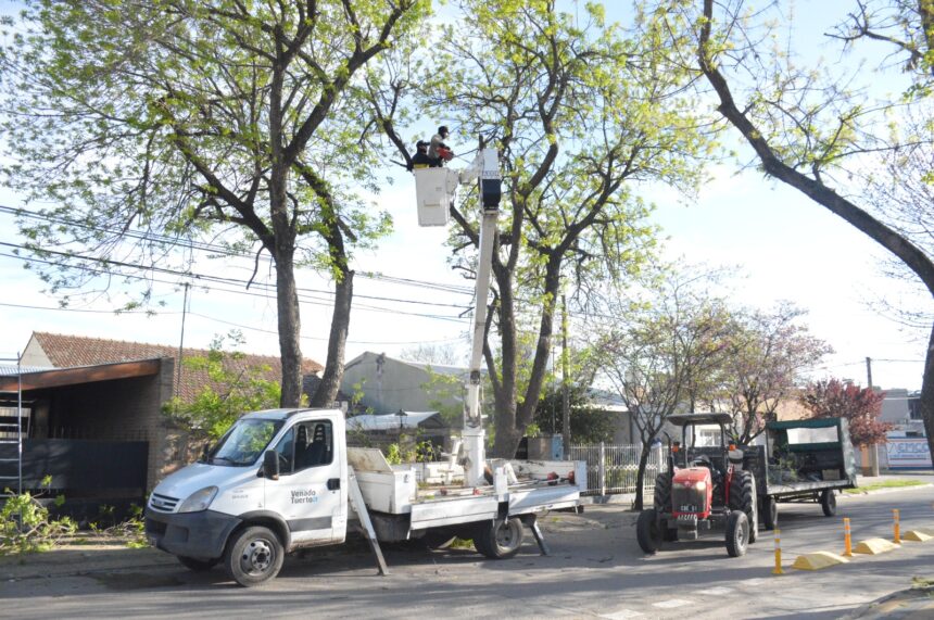 El Gobierno Municipal avanza con mantenimiento y limpieza de los espacios públicos