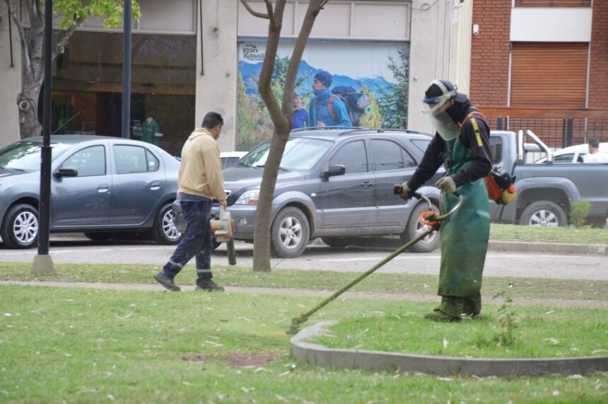Sostenido trabajo de desmalezado en los espacios públicos y barrios de la ciudad