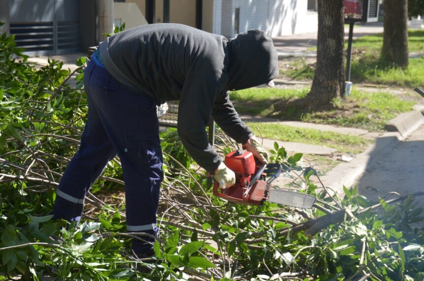 Un inicio de semana con los equipos de poda intensificando tareas