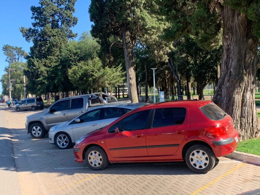 Entró en vigencia el nuevo modo de estacionamiento sobre avenida Santa Fe, frente al Parque Municipal