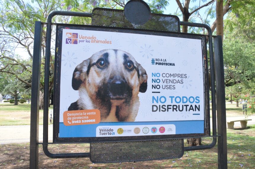 El Gobierno de Venado Tuerto lanza campaña para evitar uso de pirotecnia El Gobierno de Venado Tuerto lanza campaña para evitar uso de pirotecnia