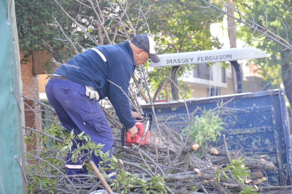 Las cuadrillas municipales avanzan con trabajos de poda y desmalezado