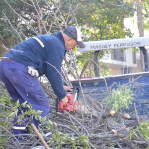 Las cuadrillas municipales avanzan con trabajos de poda y desmalezado