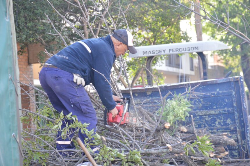 Las cuadrillas municipales avanzan con trabajos de poda y desmalezado