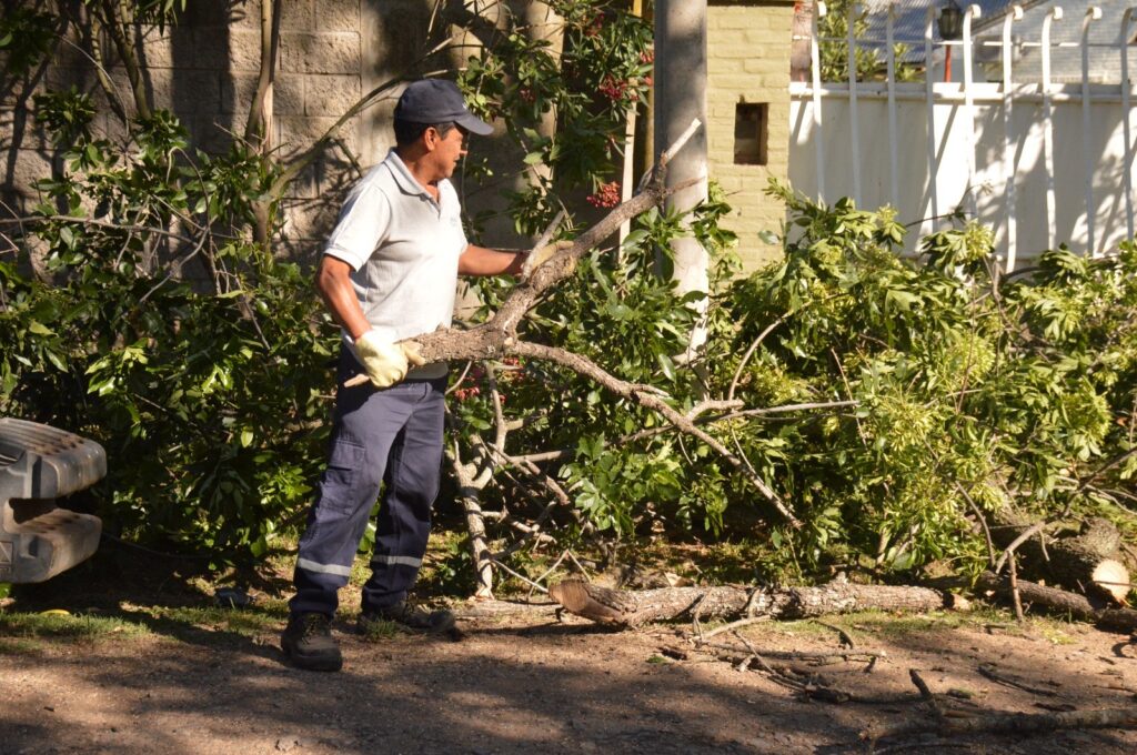 Las cuadrillas municipales intensifican las tareas de desmalezado