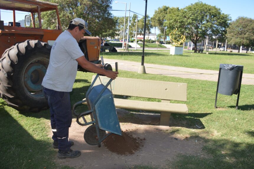 Mantenimiento de plazas y paseos públicos