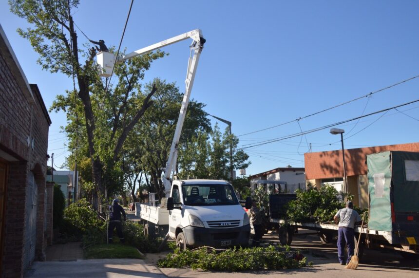 Trabajos de poda y desmalezado en el comienzo de la semana