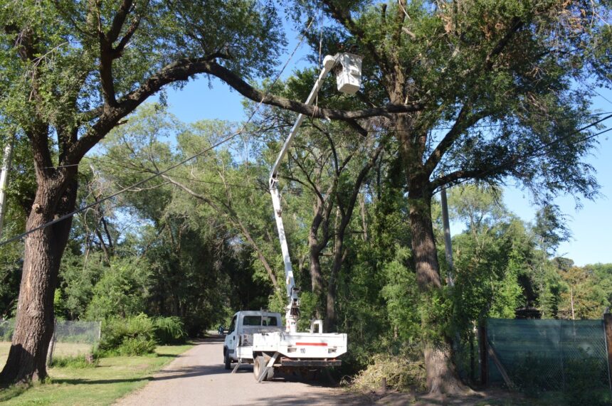 Trabajos de poda en altura en barrio Los Robles Trabajos de poda en altura en barrio Los Robles