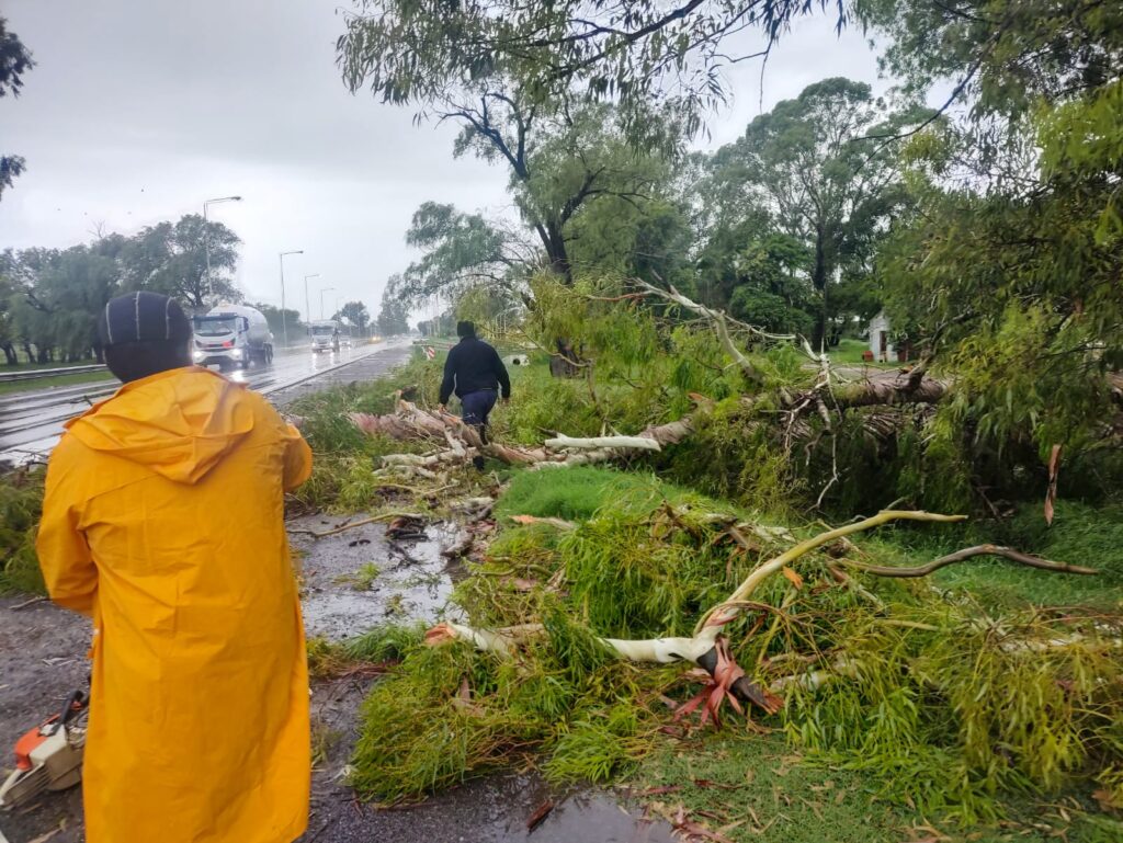 Trabajo conjunto de las áreas municipales para mitigar el impacto del temporal